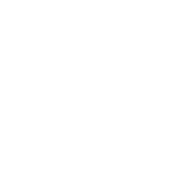 Custom Icon